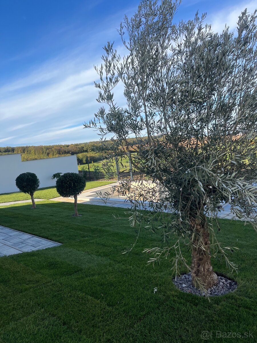 Luxusná vila (200 m2) na prenájom - 18