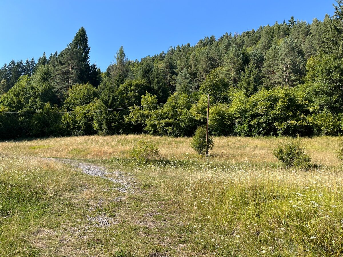 Pozemok v obci Ľubietová - 18