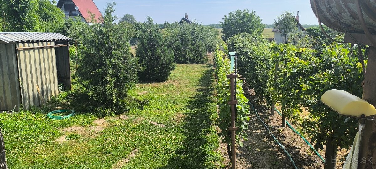 Predám celoročne obývateľnú murovanú vínnu chatu - 18