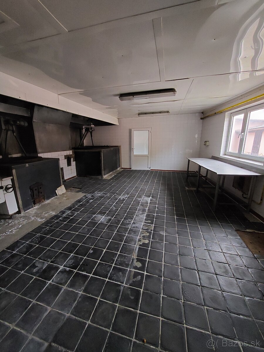 Prenájom výrobno skladovacích priestorov 3975m2 - 18