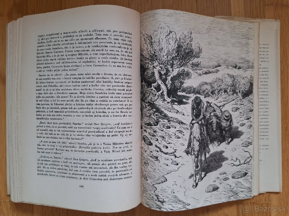 Domyselny rytier Don Quijote de la Mancha - 18