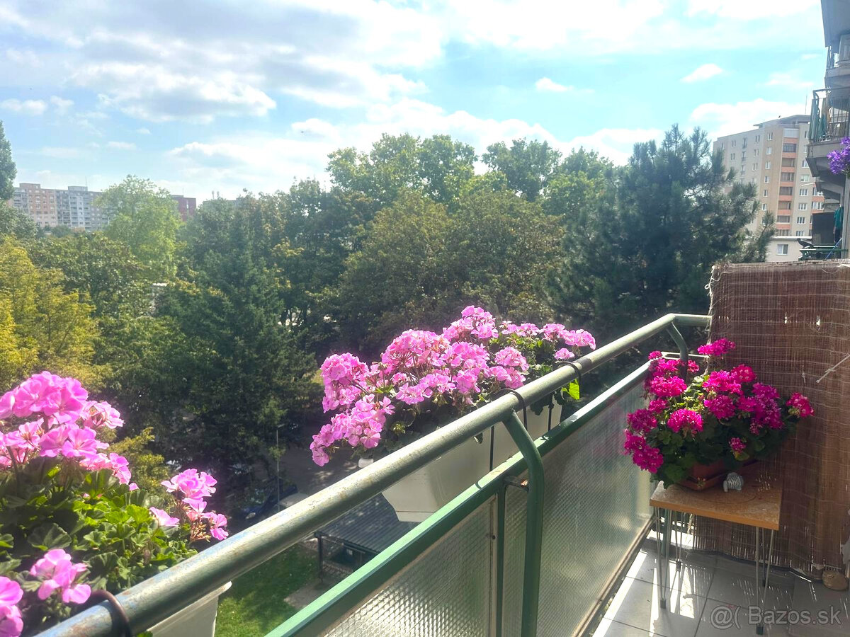 AFYREAL – na prenájom priestranný 1-izbový byt s balkónom a - 18