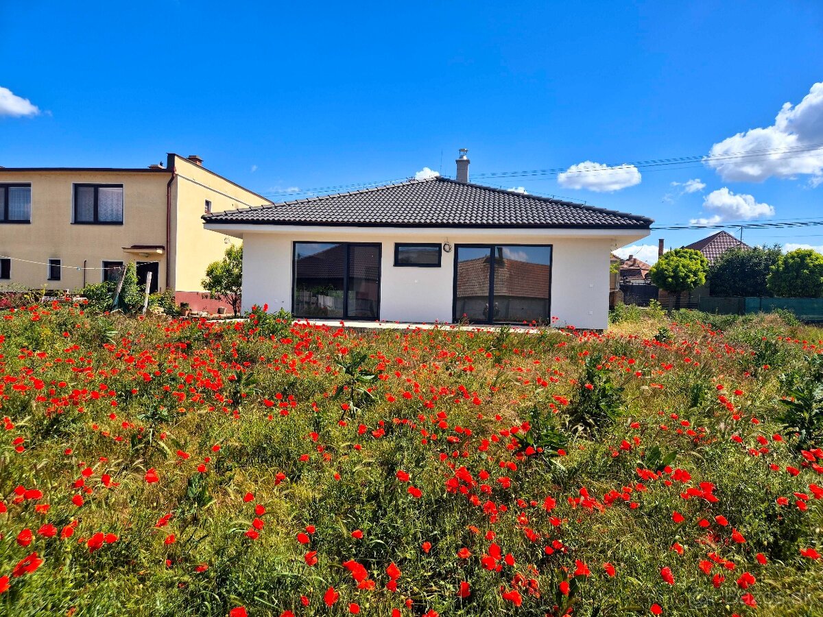 Predaj 4 izbový dom BUNGALOV v obci Dvory nad Žitavou - 18