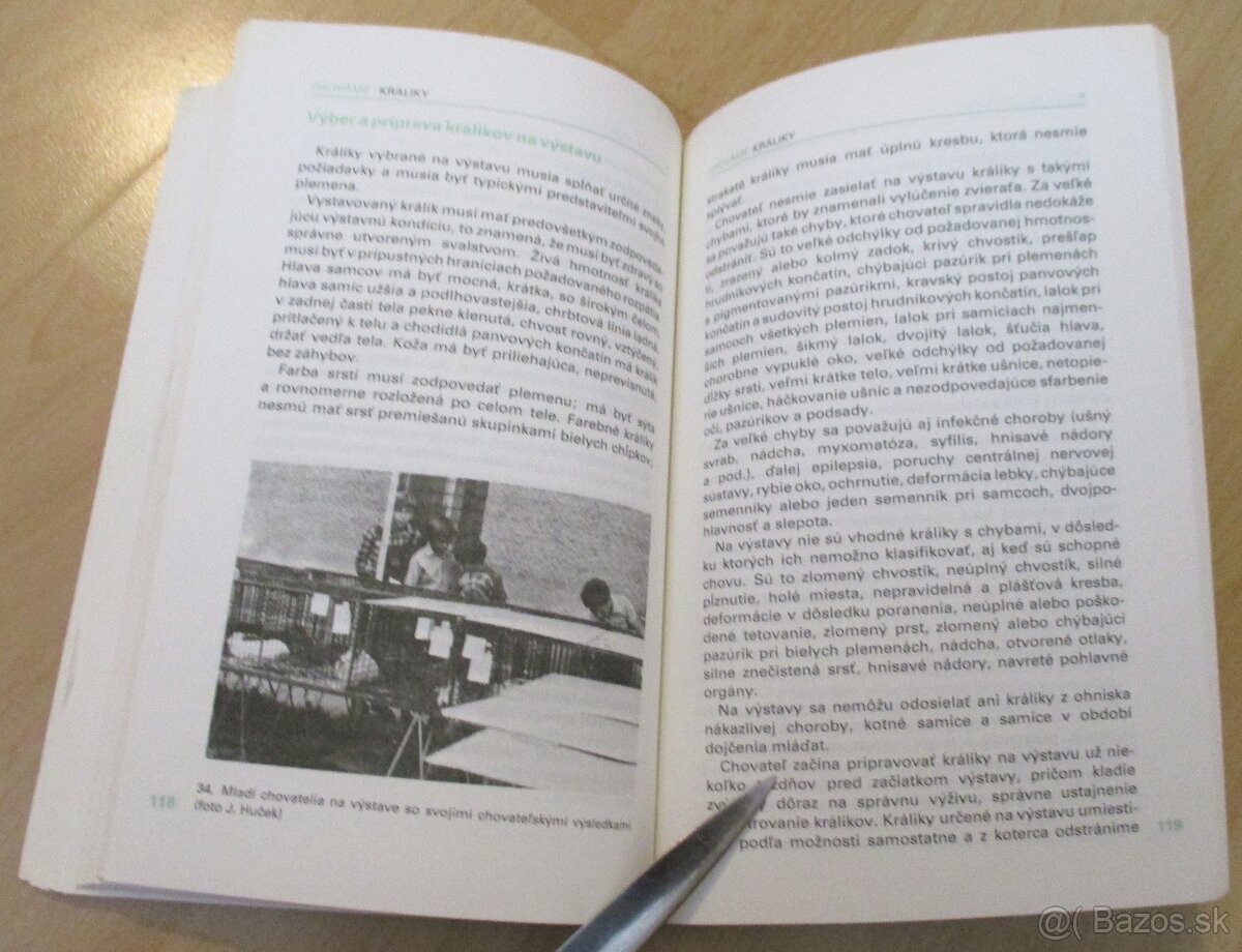 Chováme králiky - 4 - 18