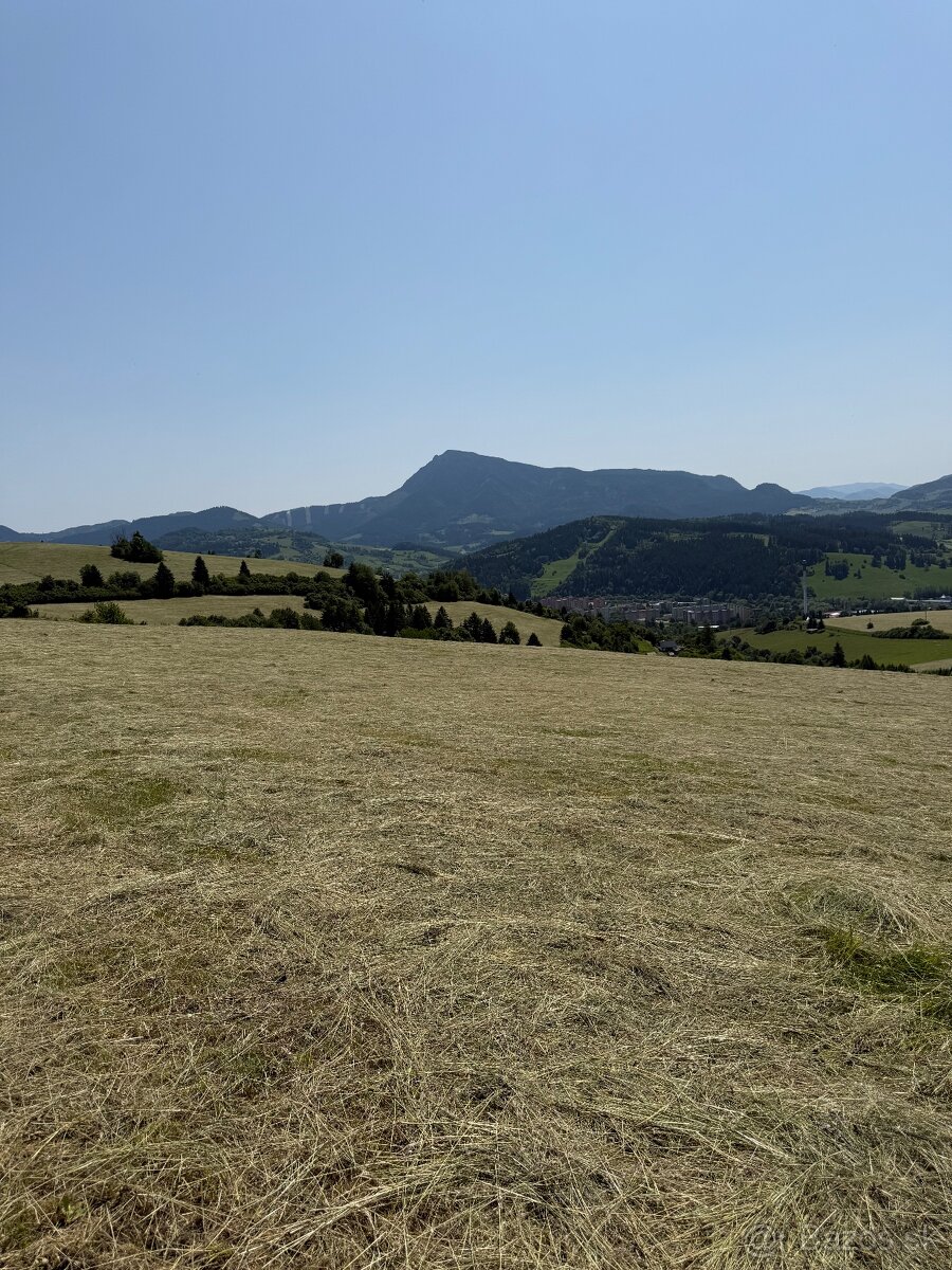 Ponúkam na predaj seno - 18