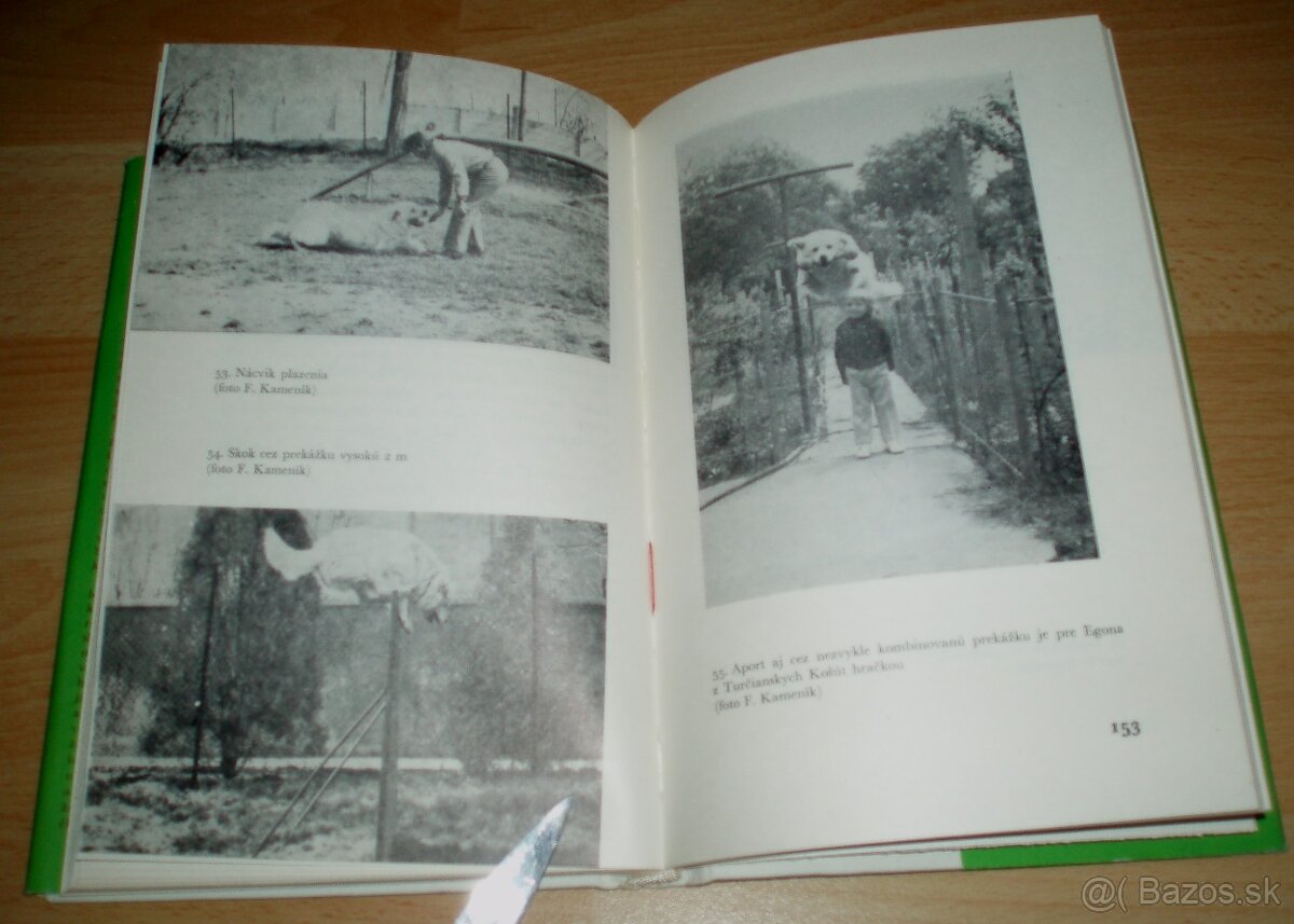 Slovenský čuvač - 18