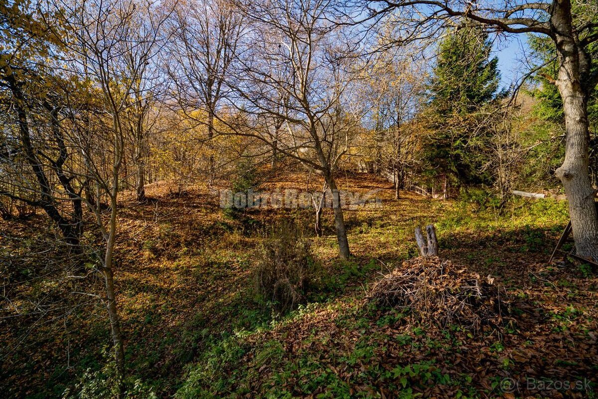 PREDAJ: Tajuplná záhrada s jazierkom a banským potôčikom, 19 - 18