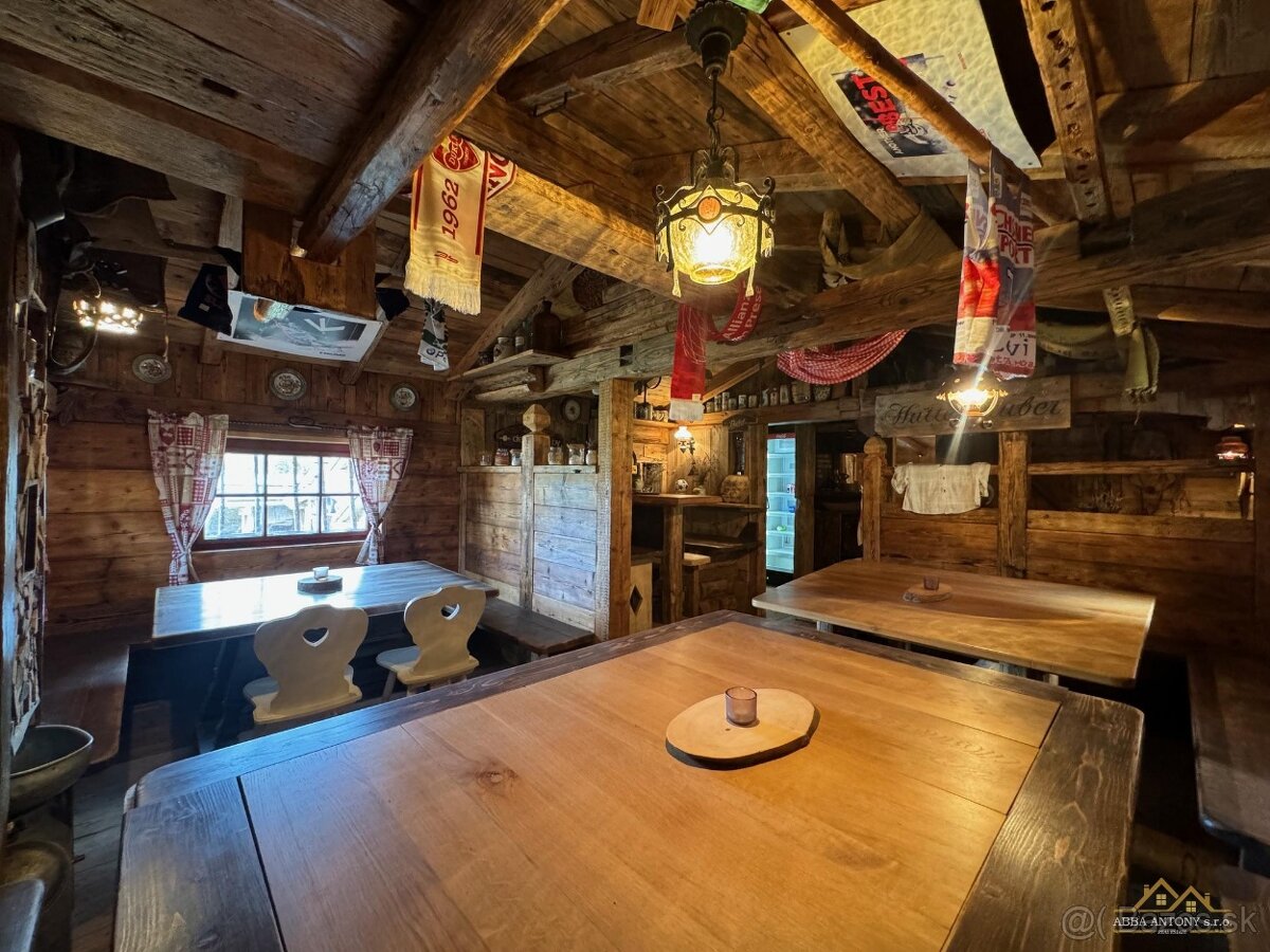 Rezidencia v prekrásnej slovenskej prírode / Makov 14 326 m² - 18