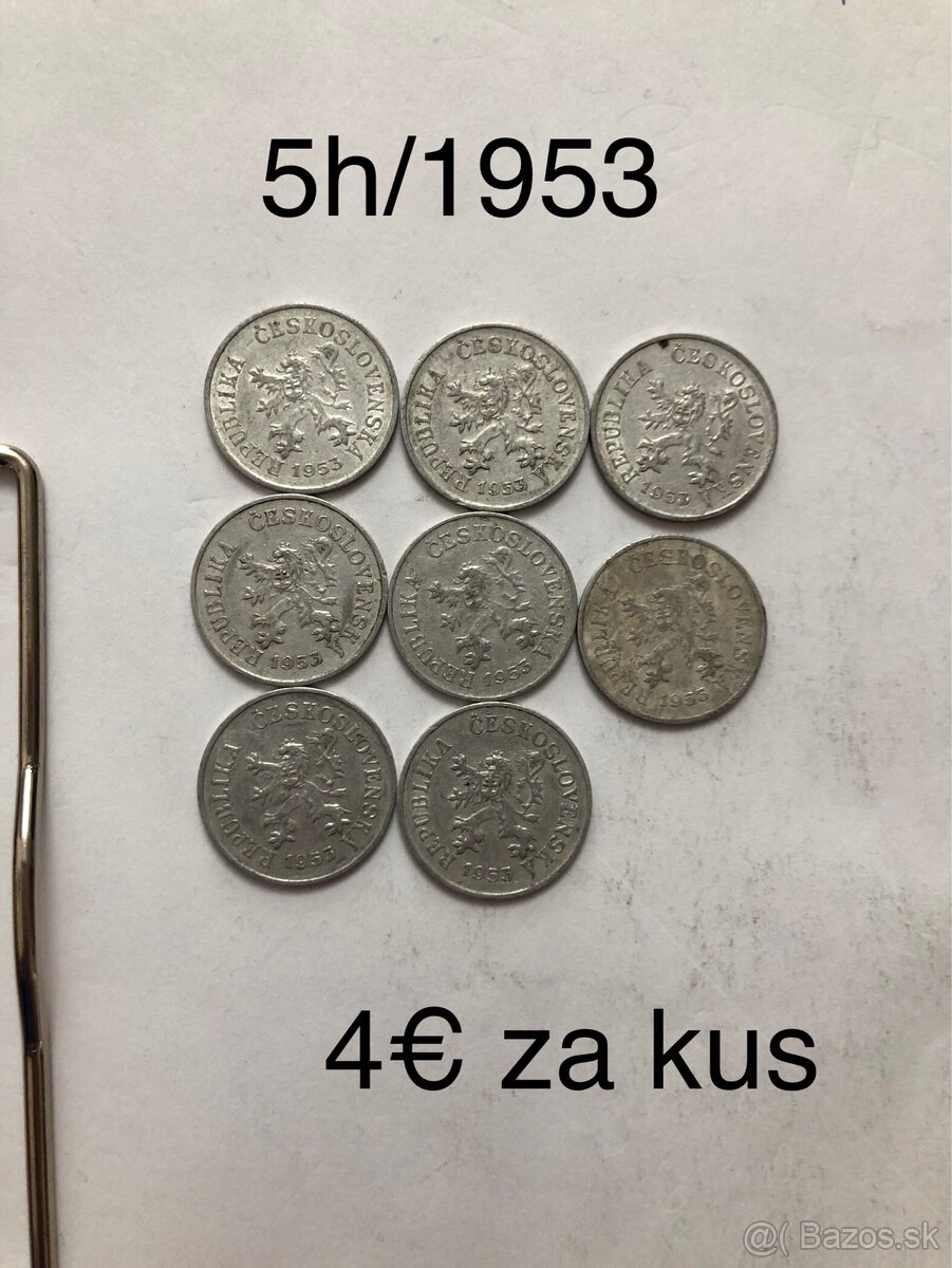 Mince 10 - 18