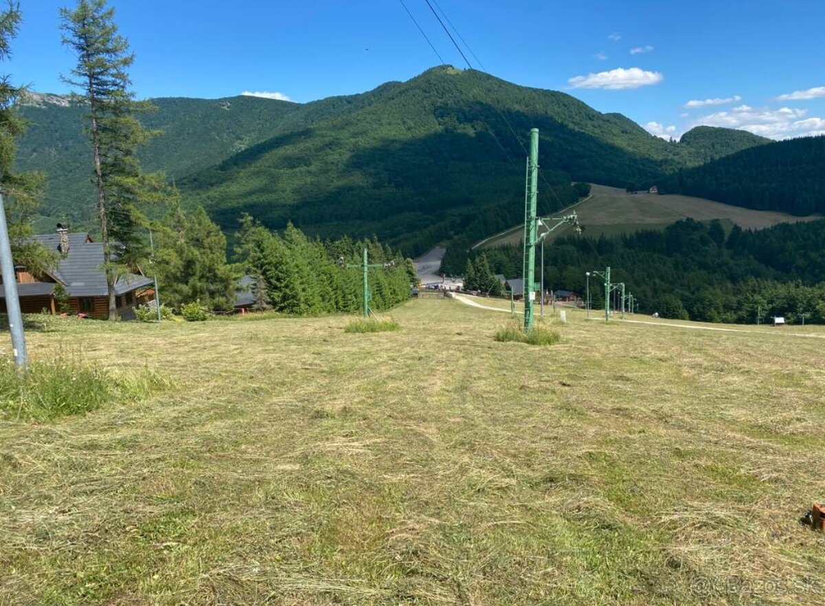 Kosenie-mulčovanie pozemkov//Pílenie//Orez stromov - 18