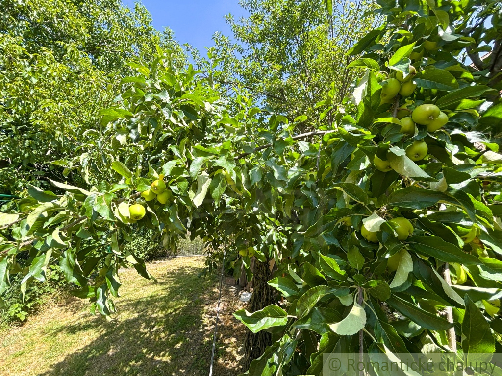Vidiecky domček so záhradou, vhodný aj na chalupu v obci Z - 18