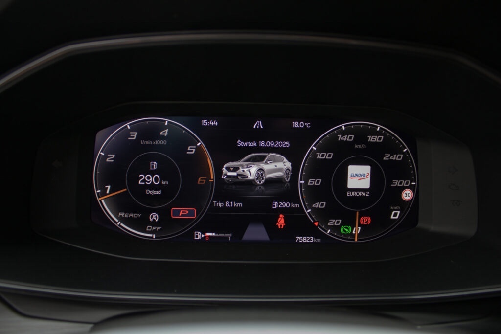 Cupra Formentor 2.0 TDI 4Drive DSG - 18