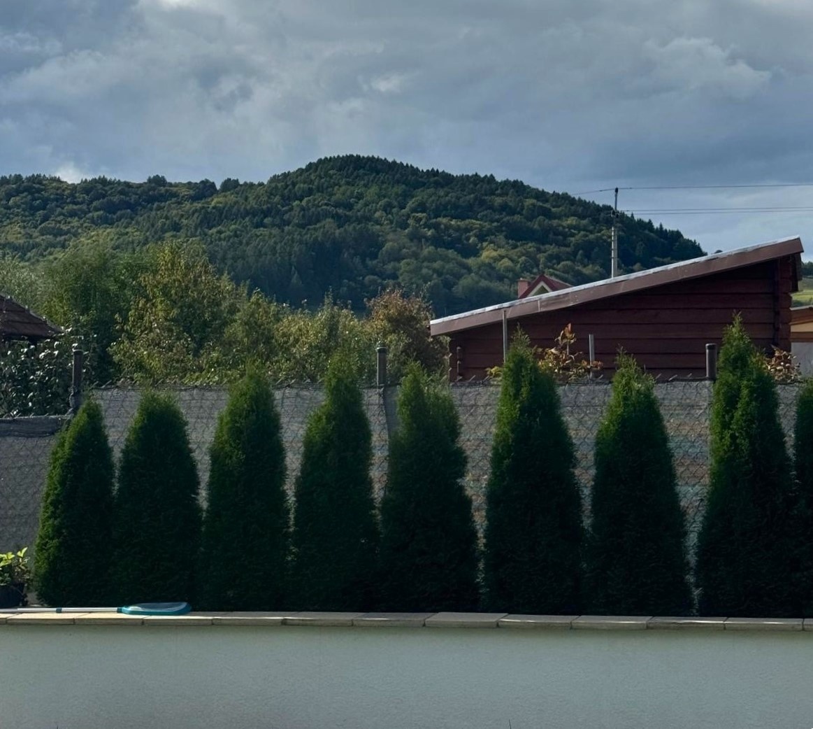 Zrekonštruovaný 4 izbový RD - 20 min od mesta ZVOLEN - 18