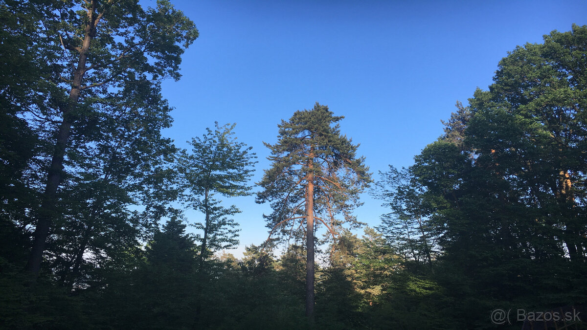 Predám ( prenajmem ) hotel medzi BB a ZV - 18