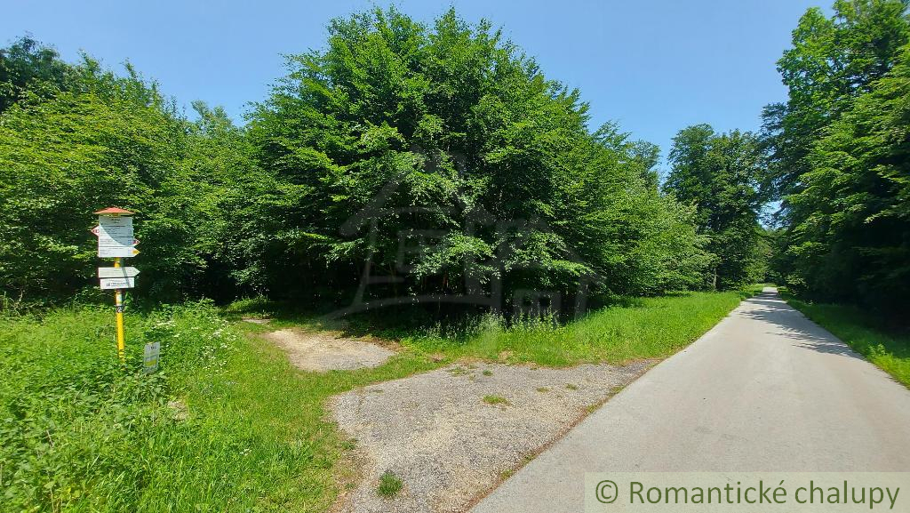 Chata na vlastnom pozemku obklopená lesmi Myjavské kopanic - 18
