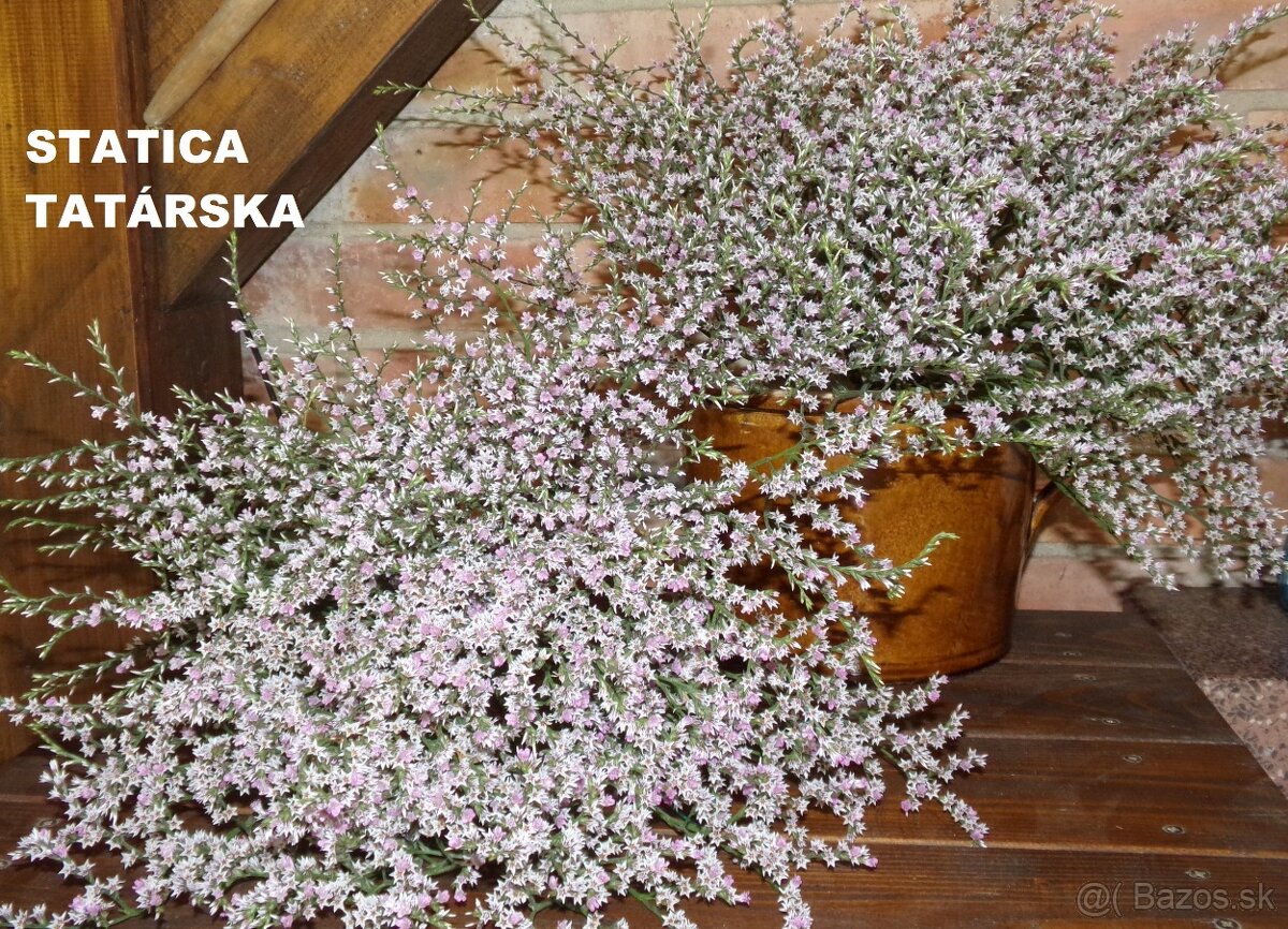 SUŠENÉ KVETY NA ĎALŠIU TVORBU - 18