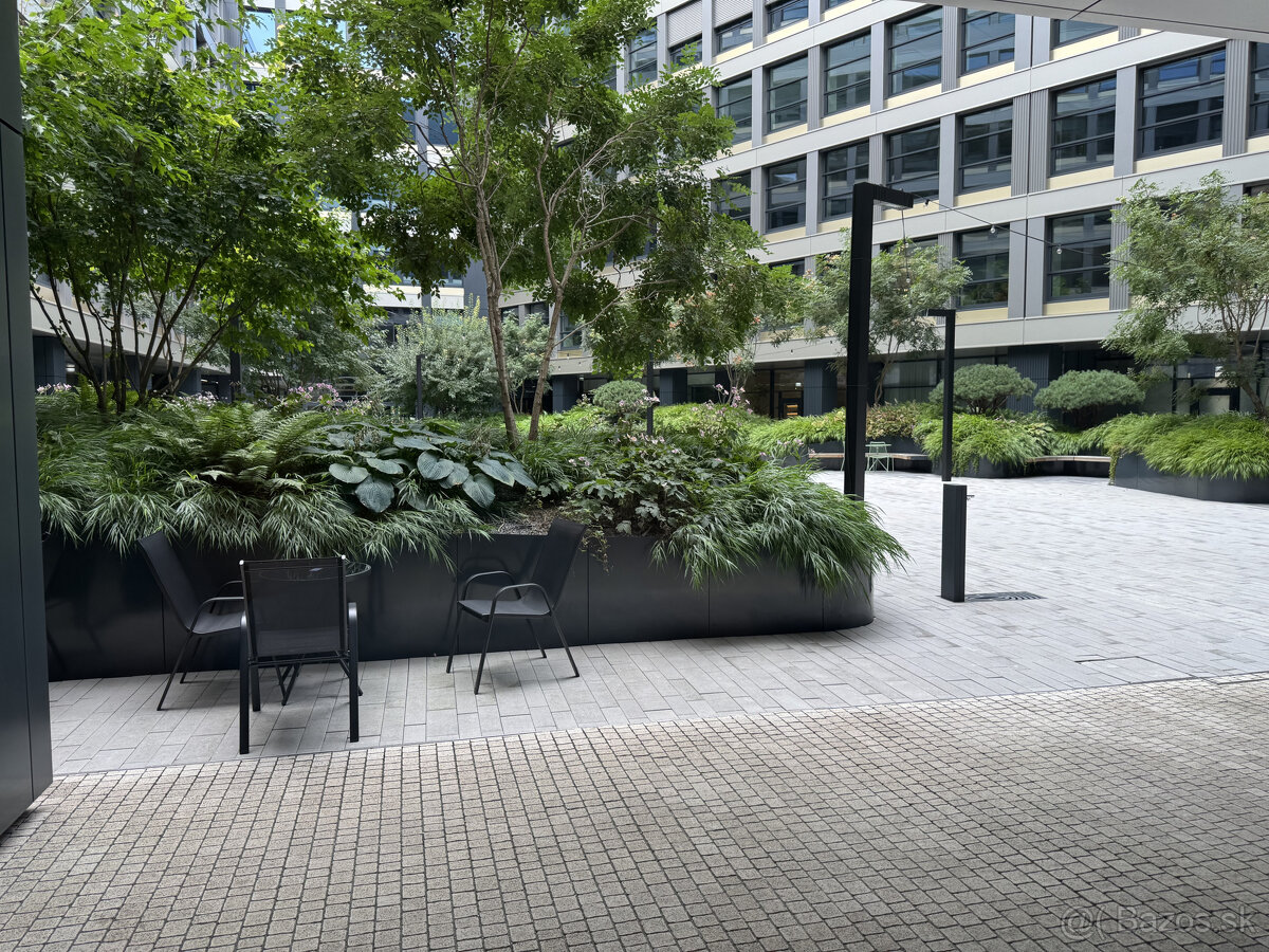 Prenájom obchodného priestoru 333 m² v skvelej lokalite v ce - 18