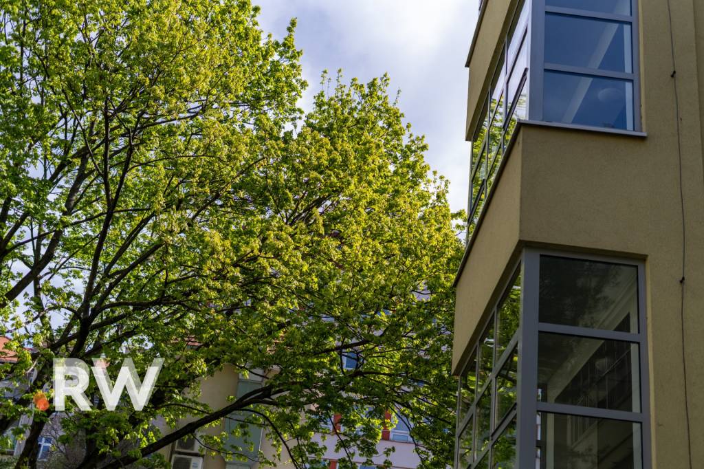 HISTORICKÉ CENTRUM - 1izb. 53,68 m2 - INVESTIČNÝ POTENCIÁL - - 18