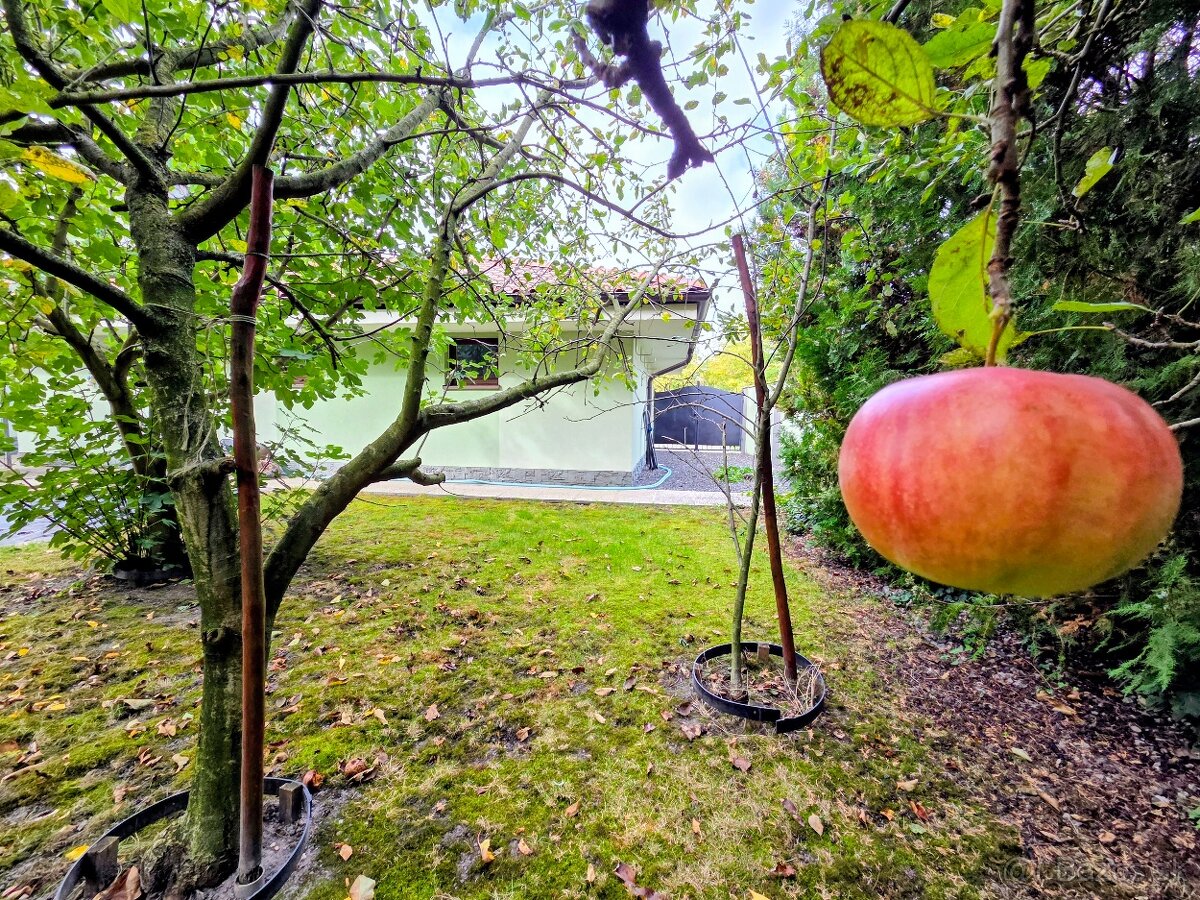 rodinný dom / vila MASLOVCE ( ČENKOVCE / OĽDZA ) 20 á pozemo - 18