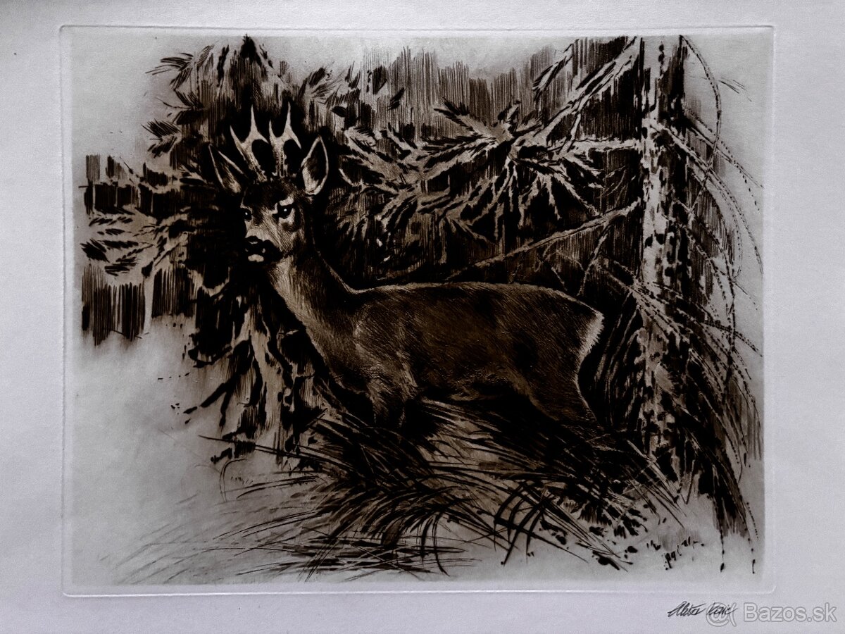 Ales Vaic - lesnicka tematiky - 18