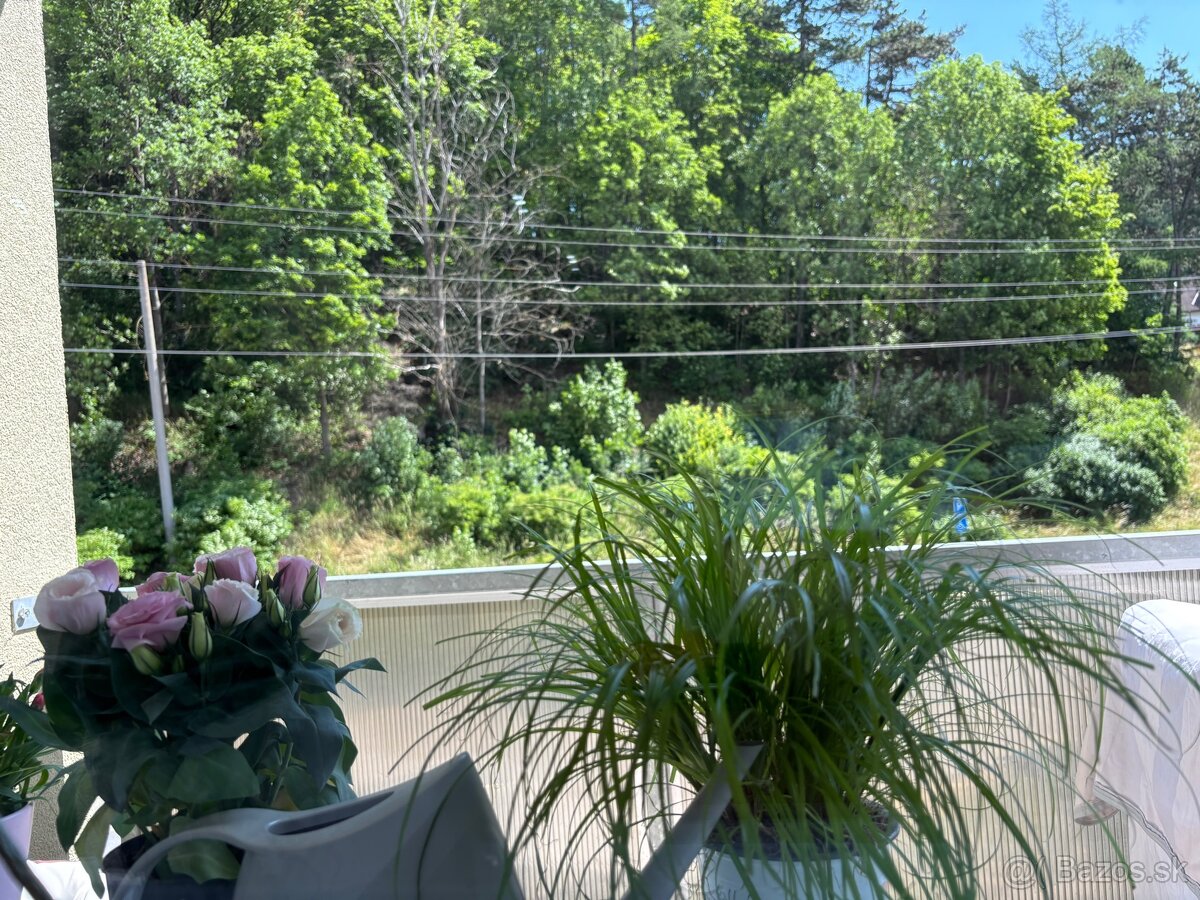 Na predaj 2 izbový byt- Kežmarok - 18