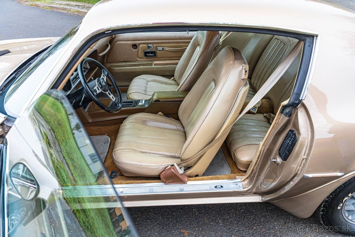 Pontiac Firebird 1977 - 18