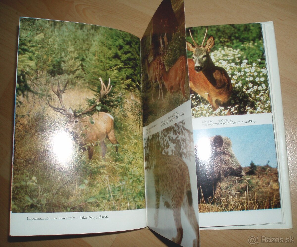 až zazní voláni - 18