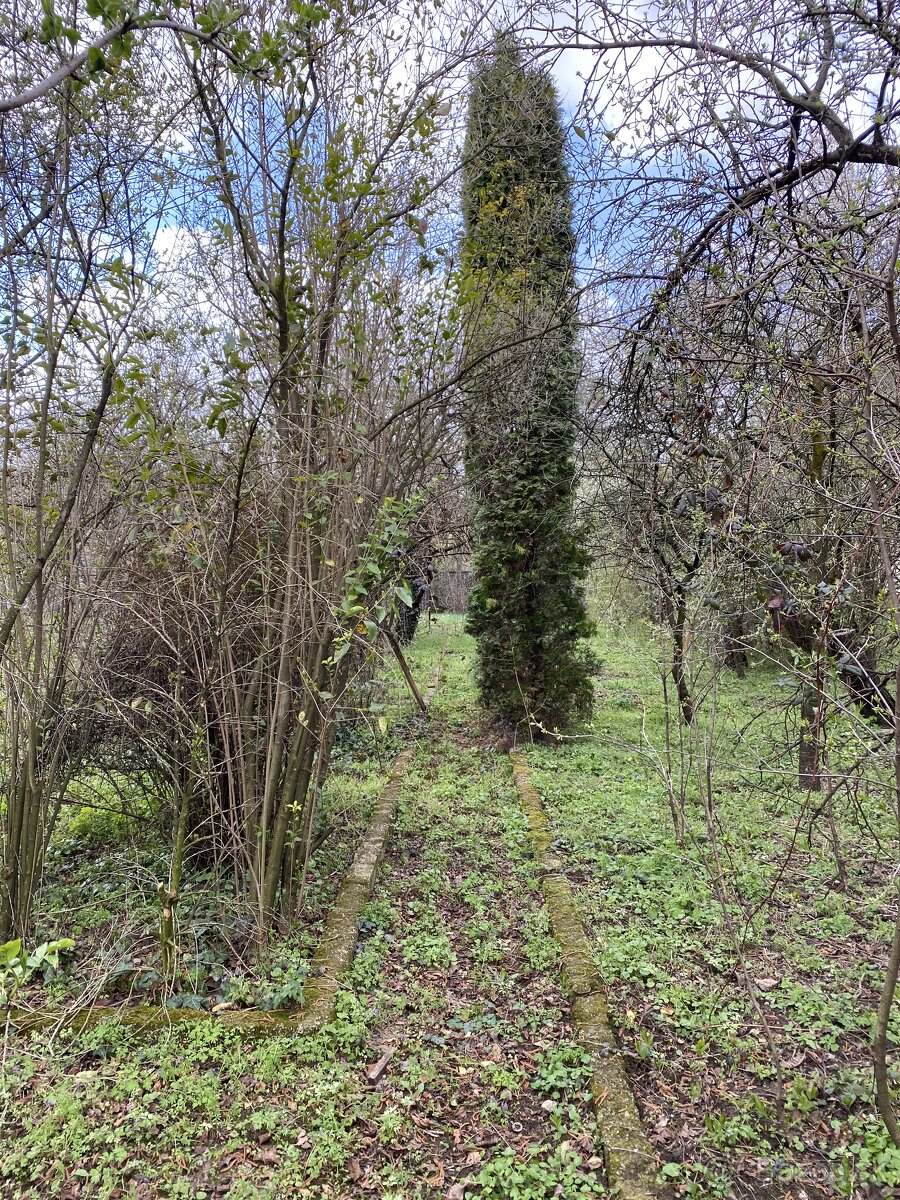 Rodinný dom s garážou v obci Jasov - 18