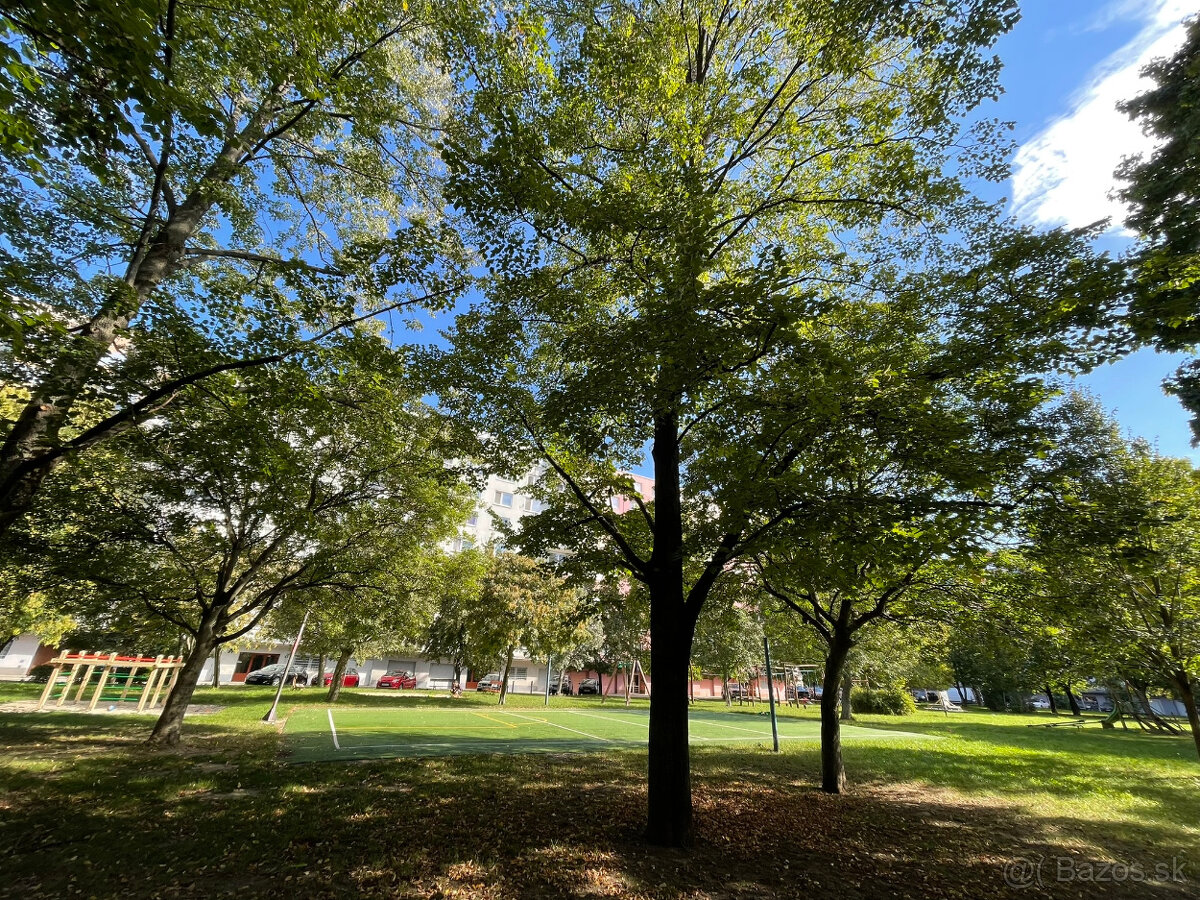 Predaj 3 izbový byt 73m² -ul Nešporova Šaľa - 18