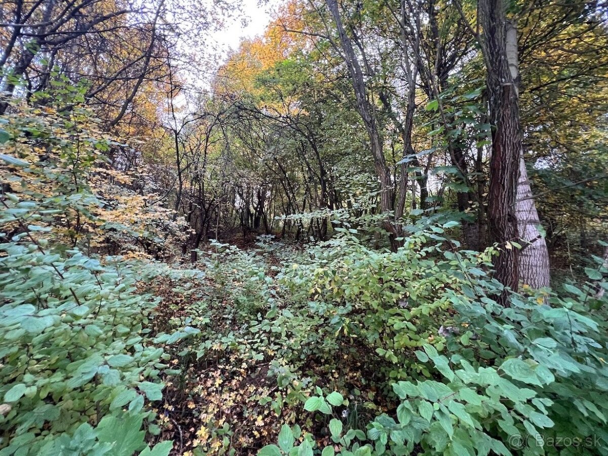 Handlová - 2.840 m2 pozemok na projekt - VÝSTAVBA DOMOV - 18