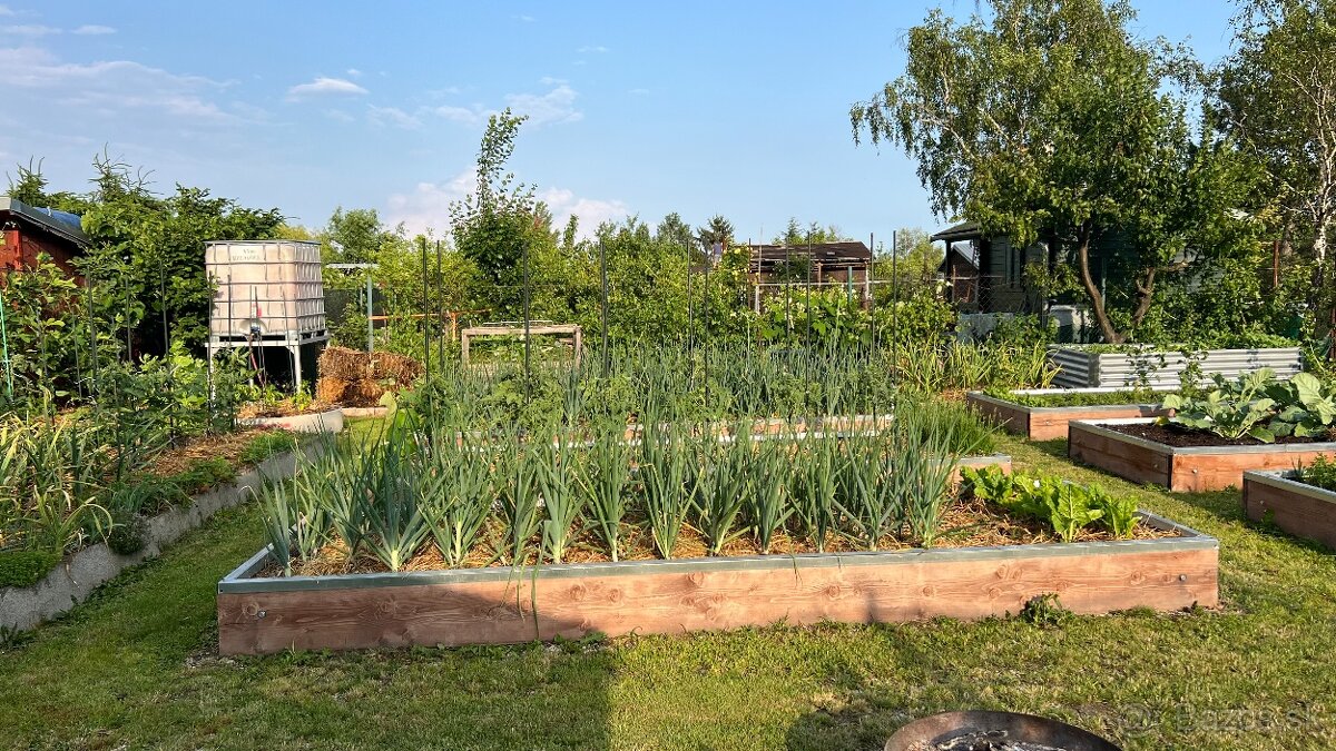 Záhrada s chatkou a studňou – Žabí majer - 18