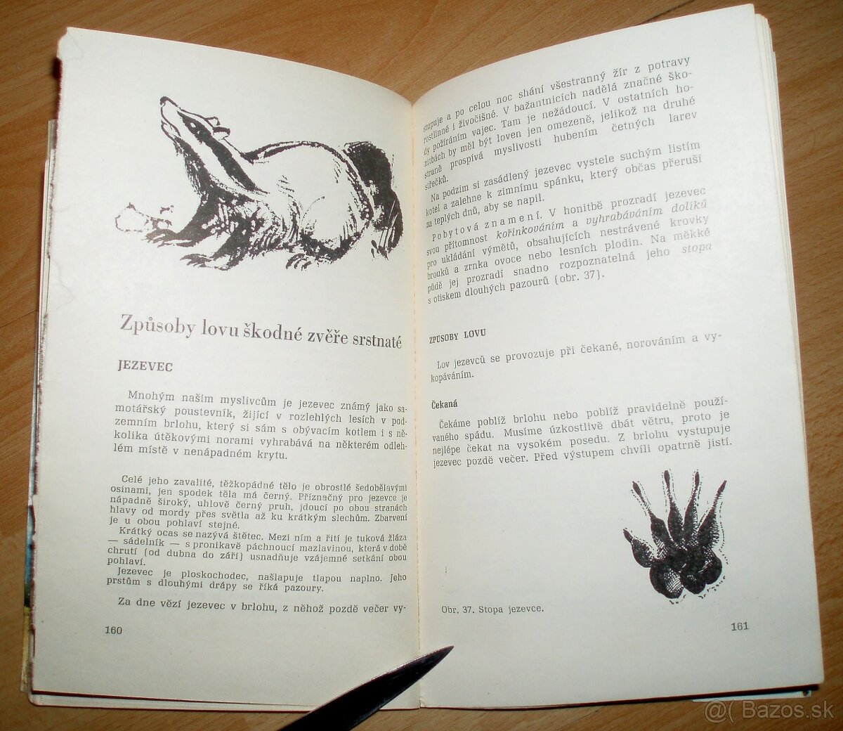 Lovecké praktikum - 18