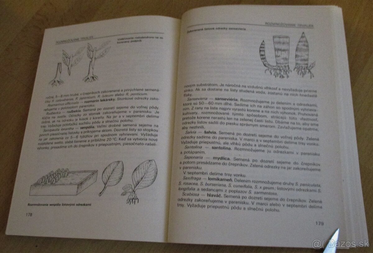 Vrúbľovanie, očkovanie, rozmnožovanie - 18