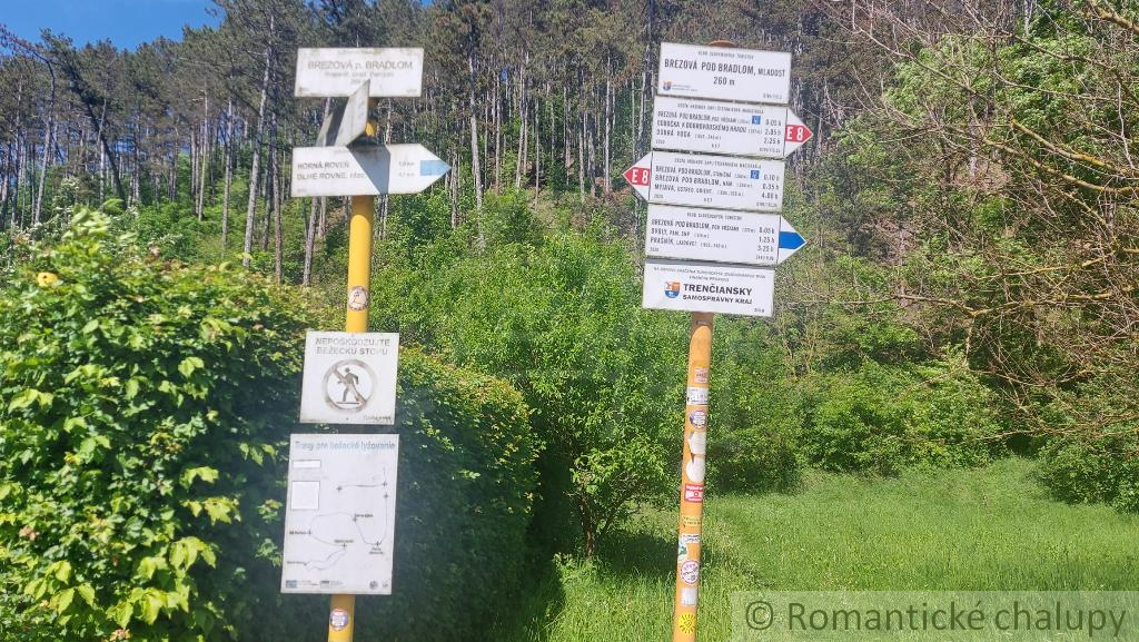 Malý domček pod lesom v mestečku Brezová pod Bradlom okr. - 18