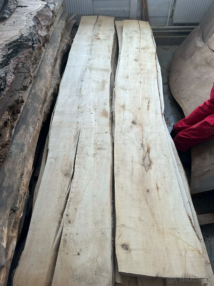 Vysušené javorové fošne, javor horský - 18