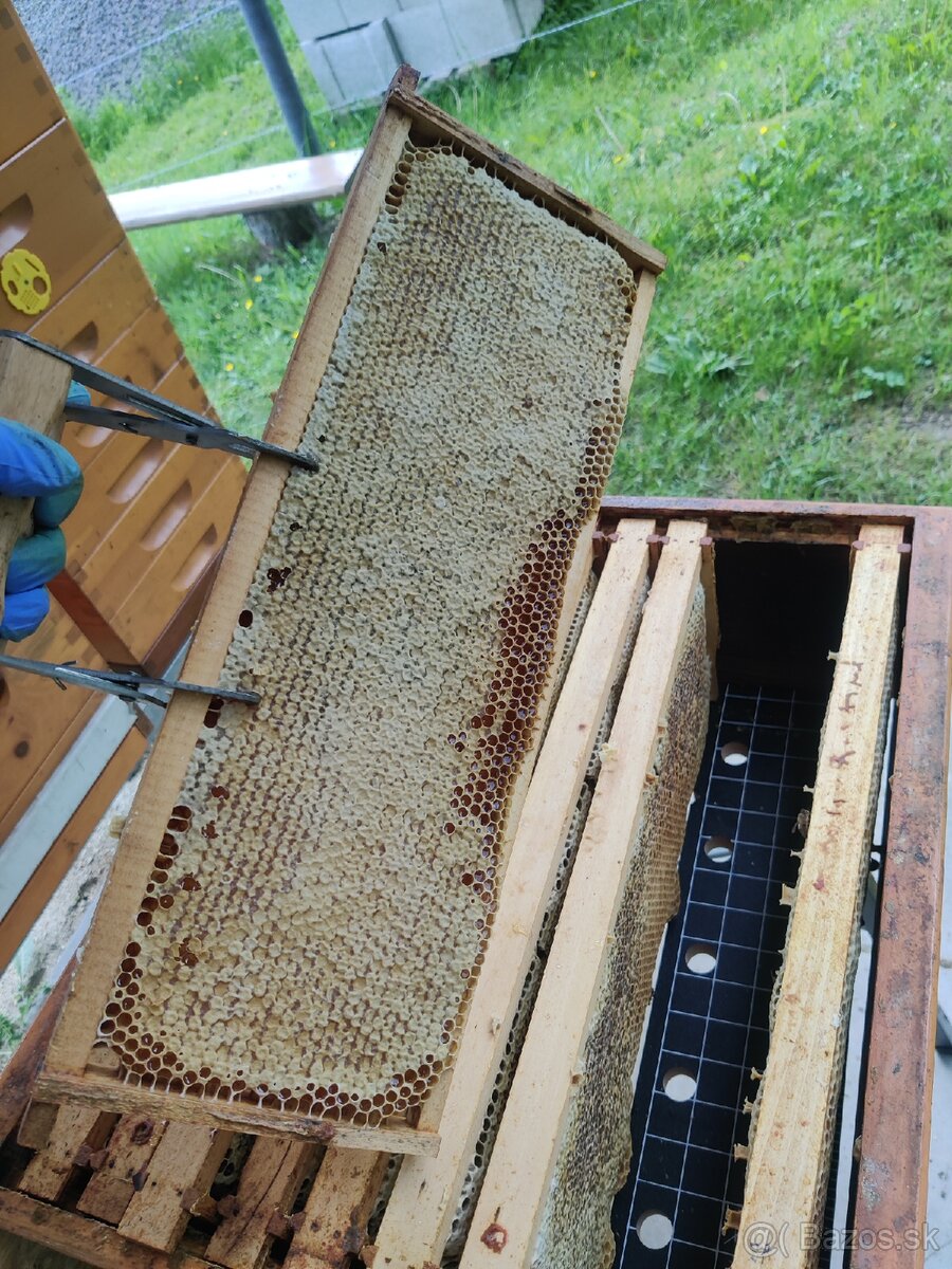 Domáci včelí med z Turčianskej záhradky - 18