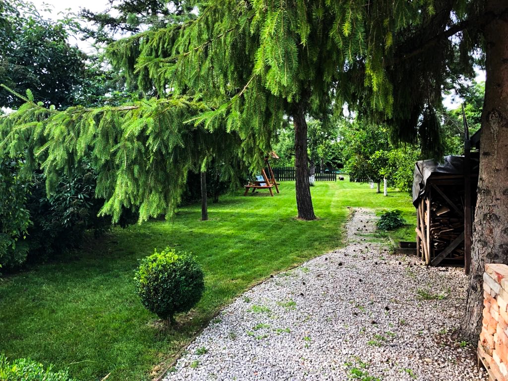 Dom pod storočnou hruškou - 18