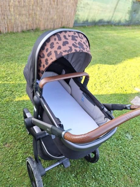 Kočik Joolz Day + Tailor - 18