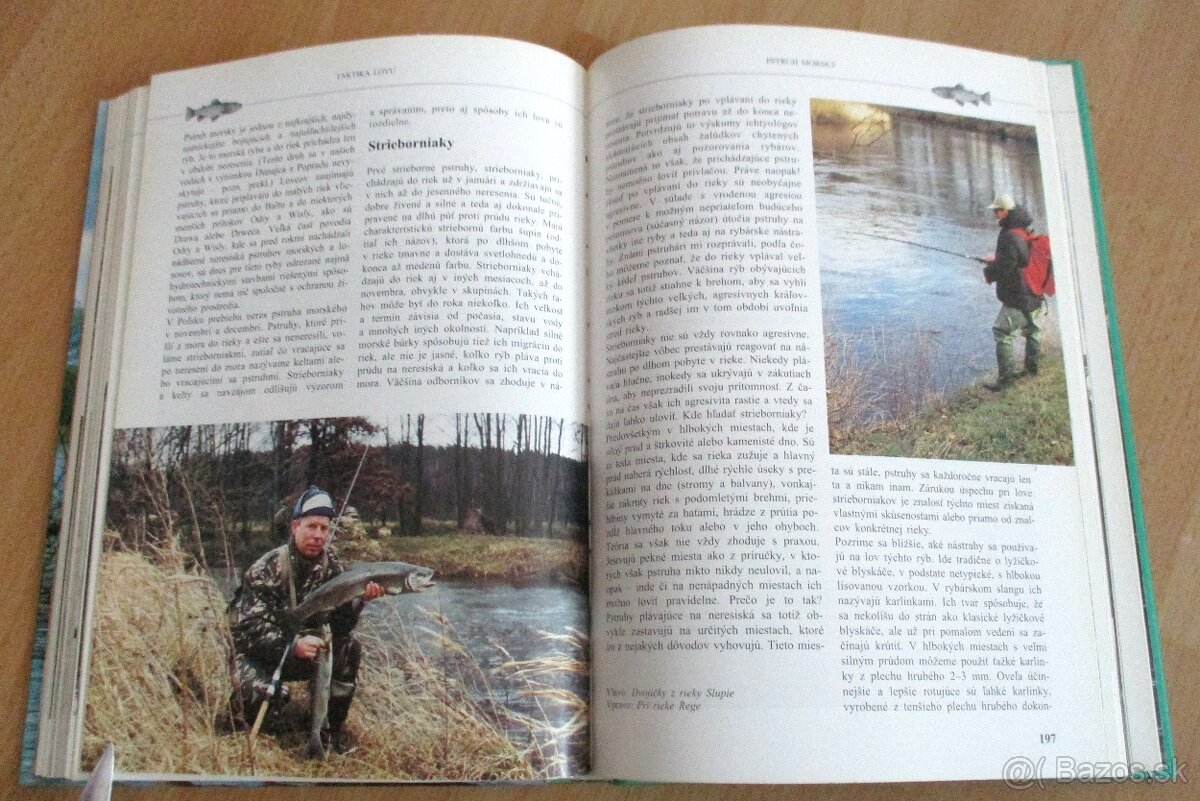 Rybárstvo – Lov dravých rýb na prívlač - 18