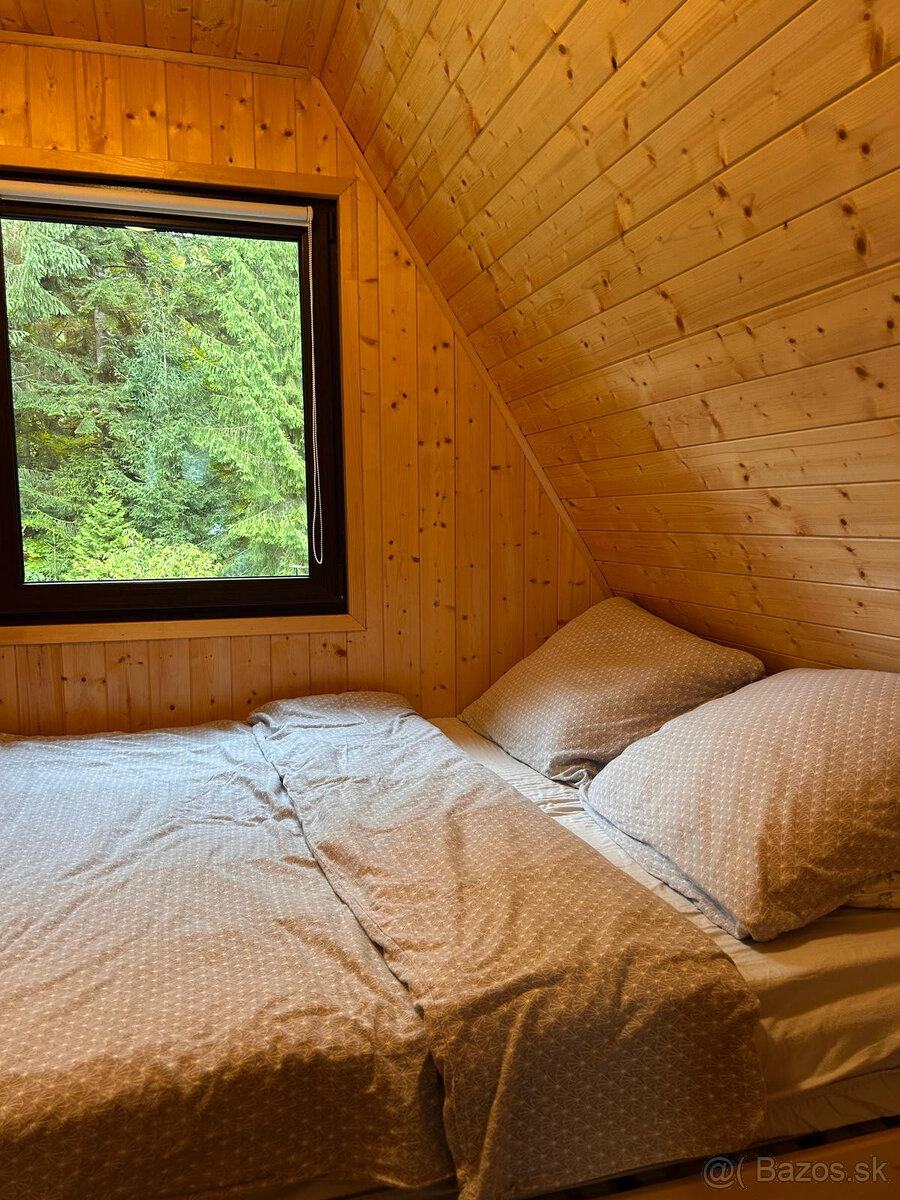 NA PREDAJ: REKREAČNÁ CHATA HORNÁ LEHOTA,KRPÁČOVO NÍZKE TATRY - 18