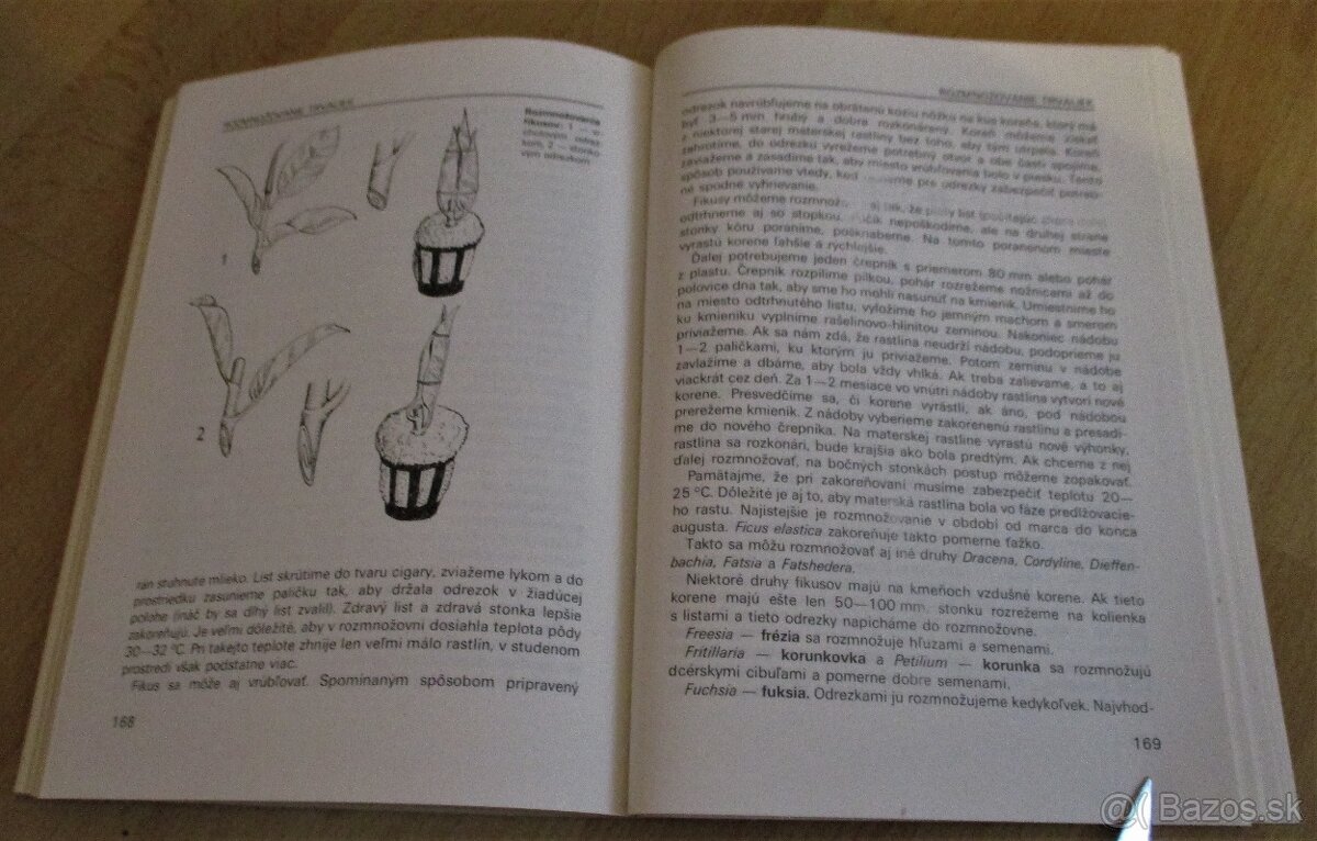 Vrúbľovanie, očkovanie, rozmnožovanie - 18