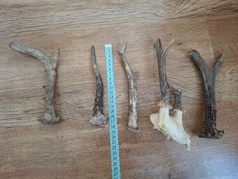 Kľúče od motorky Czechoslovakia - 18