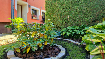 Útulný 5-izbový rodinný dom v Oslanoch s garážou - 18