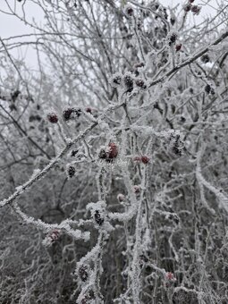 Miesto, kde sa tvoria spomienky a plnia sa sny - 18