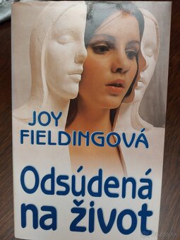 Virginia Andrewsová a iné - 18