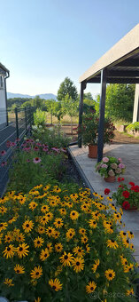 Novostavba 4-izbového rodinného domu typu Bungalov - 18