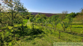 Slnečný vinohrad so záhradou v Holíči na predaj - 18