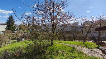 Rodinný dom na ul. Ľ. Štúra vo Veľkom Krtíši. - 18