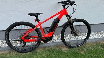 Elektrobike Stevens - 18