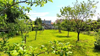 HALO reality - Predaj, rodinný dom Moravský Svätý Ján - EXKL - 18